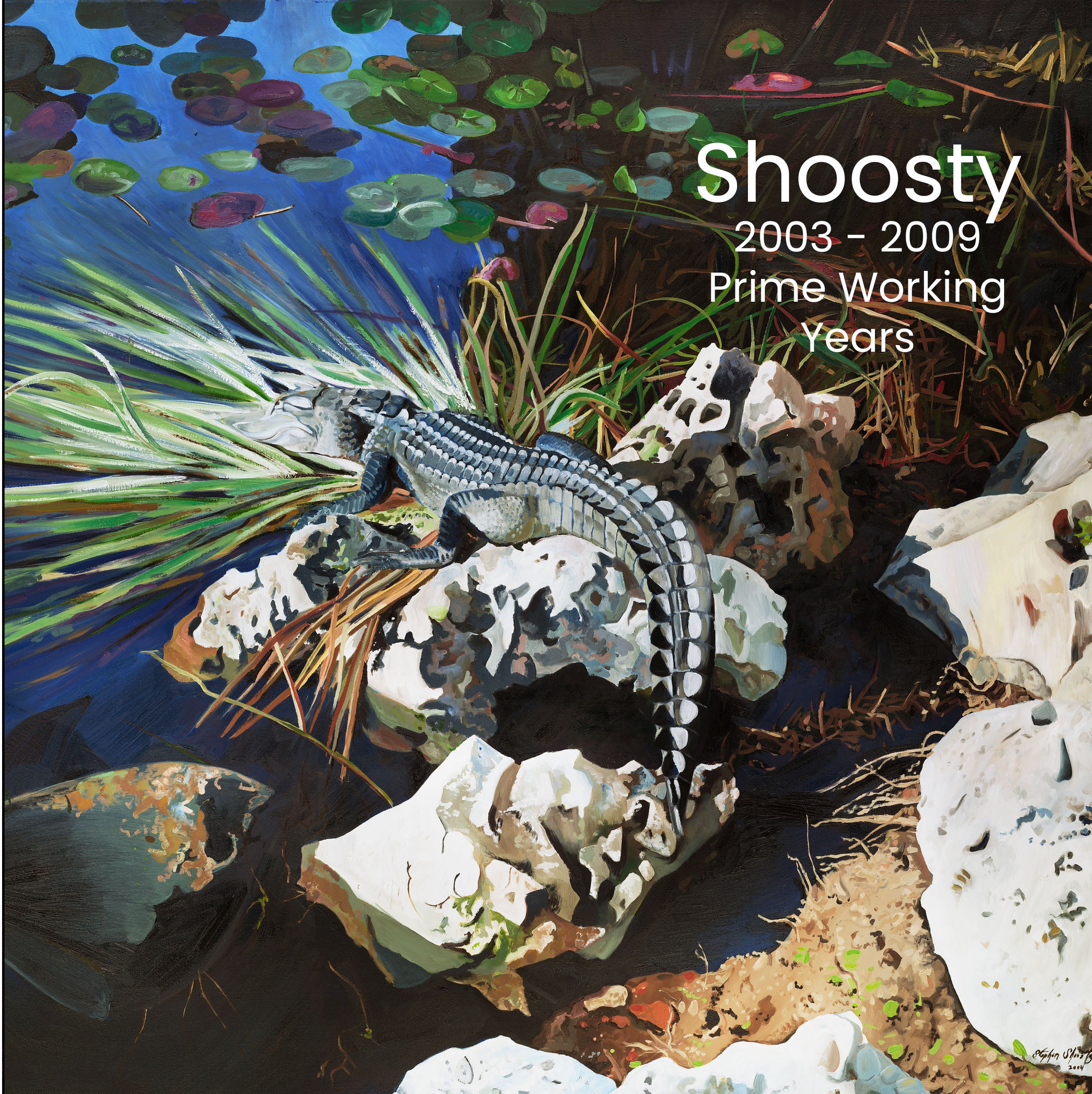 Catalog - Shoosty 2003 - 2009