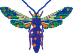 Shoosty Bubs Wasp Baseball Hat